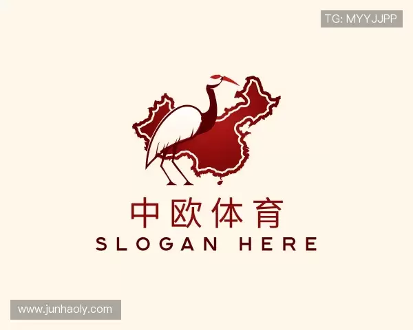 了解中欧体育